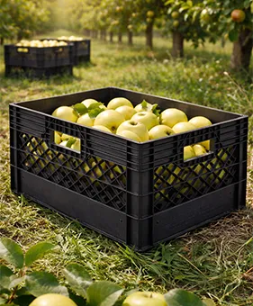 fruit crates