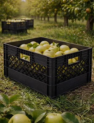 fruit crates